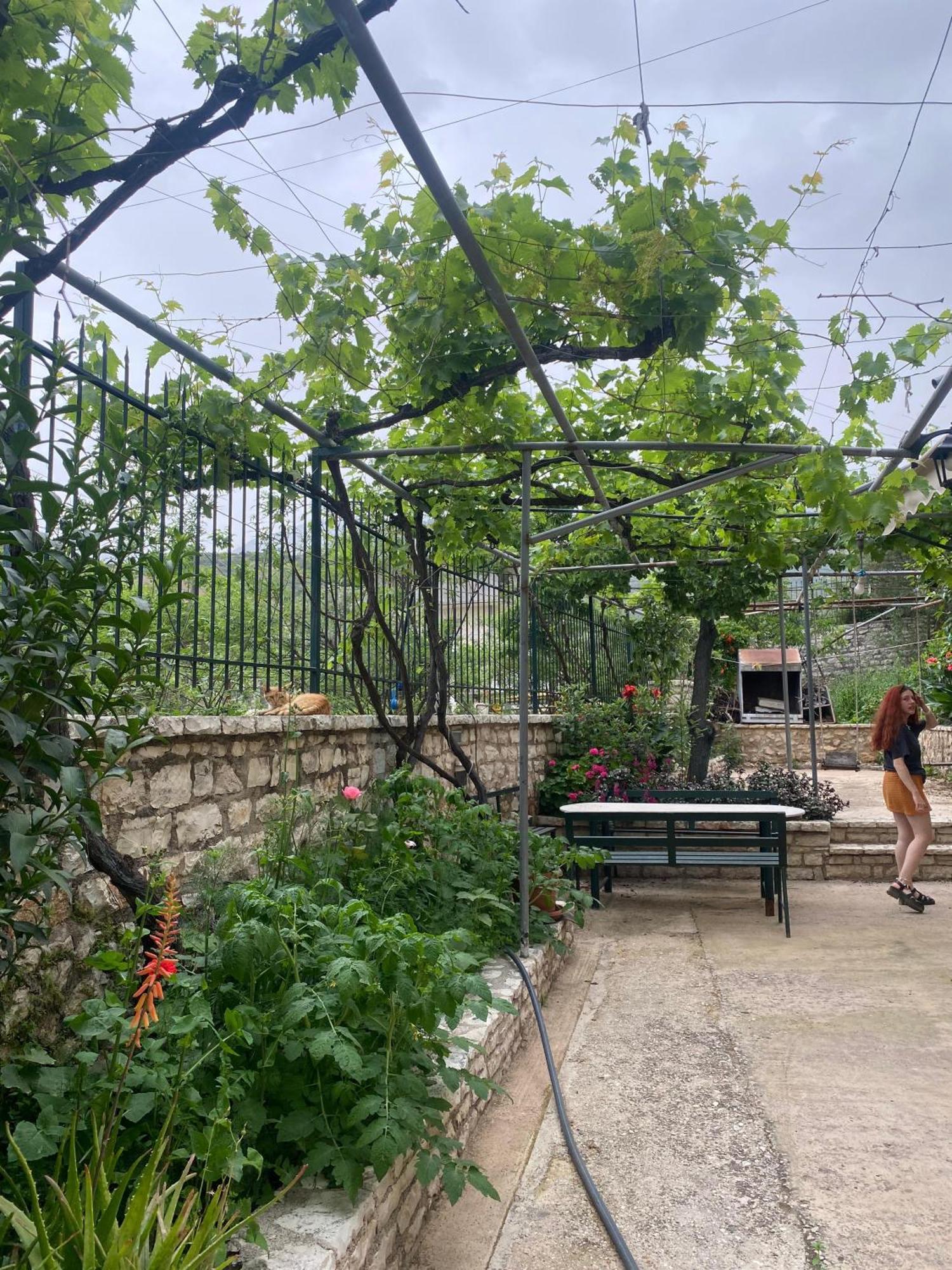 Oasis Hostel Himare Eksteriør bilde