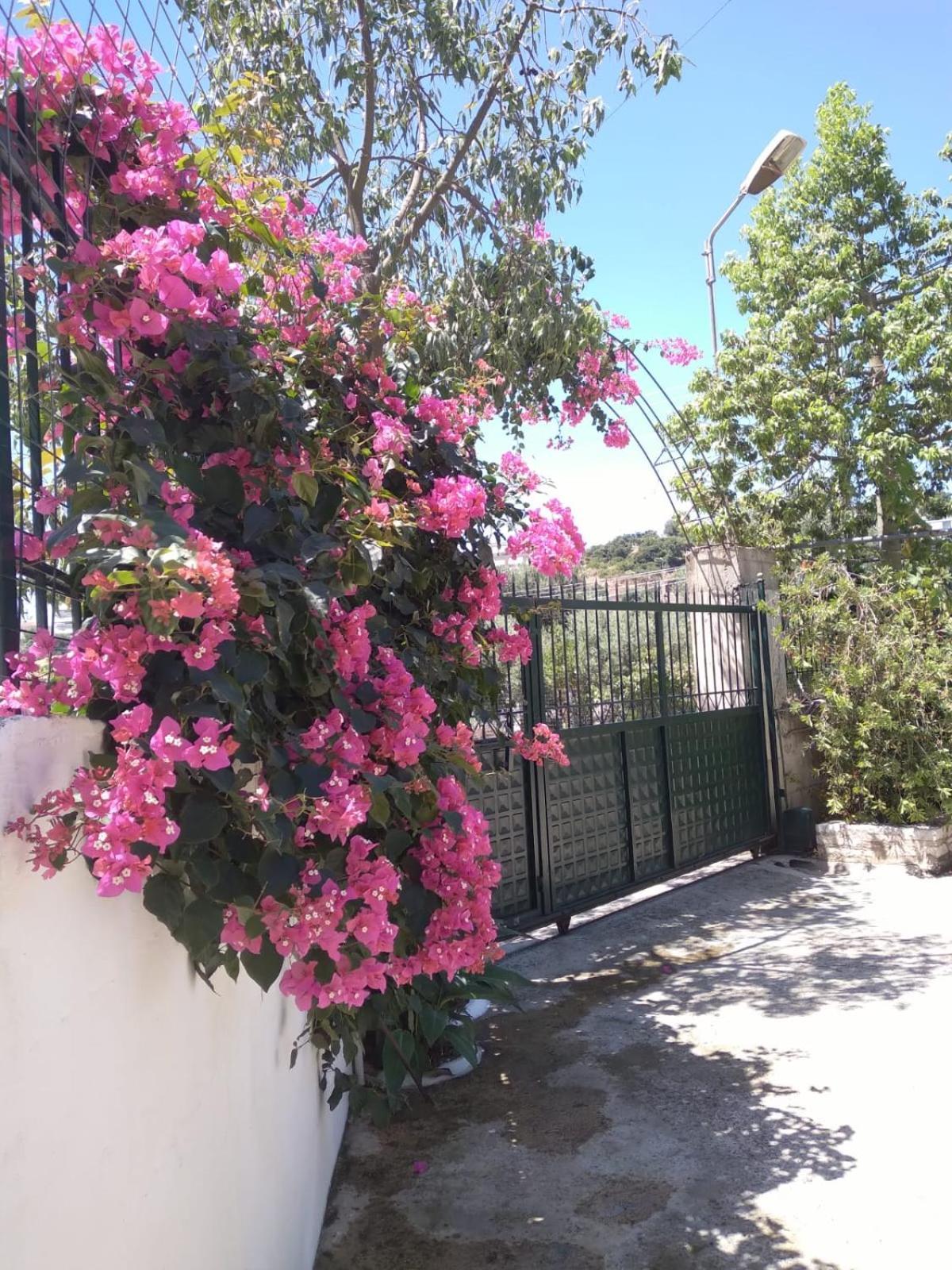 Oasis Hostel Himare Eksteriør bilde